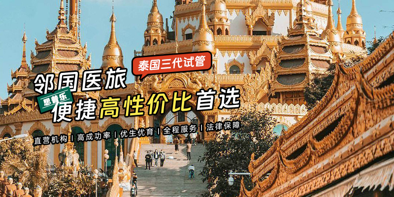 泰国试管banner-1.jpg